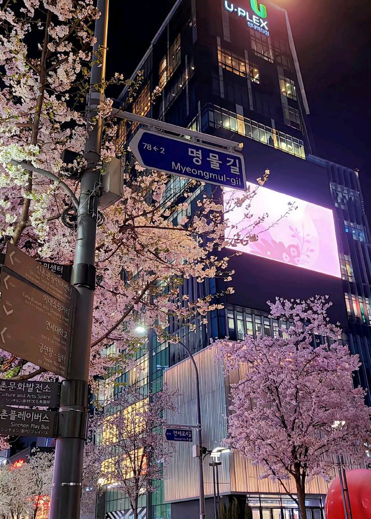 Best Things to Do in Seoul at Night for an Unforgettable Evening