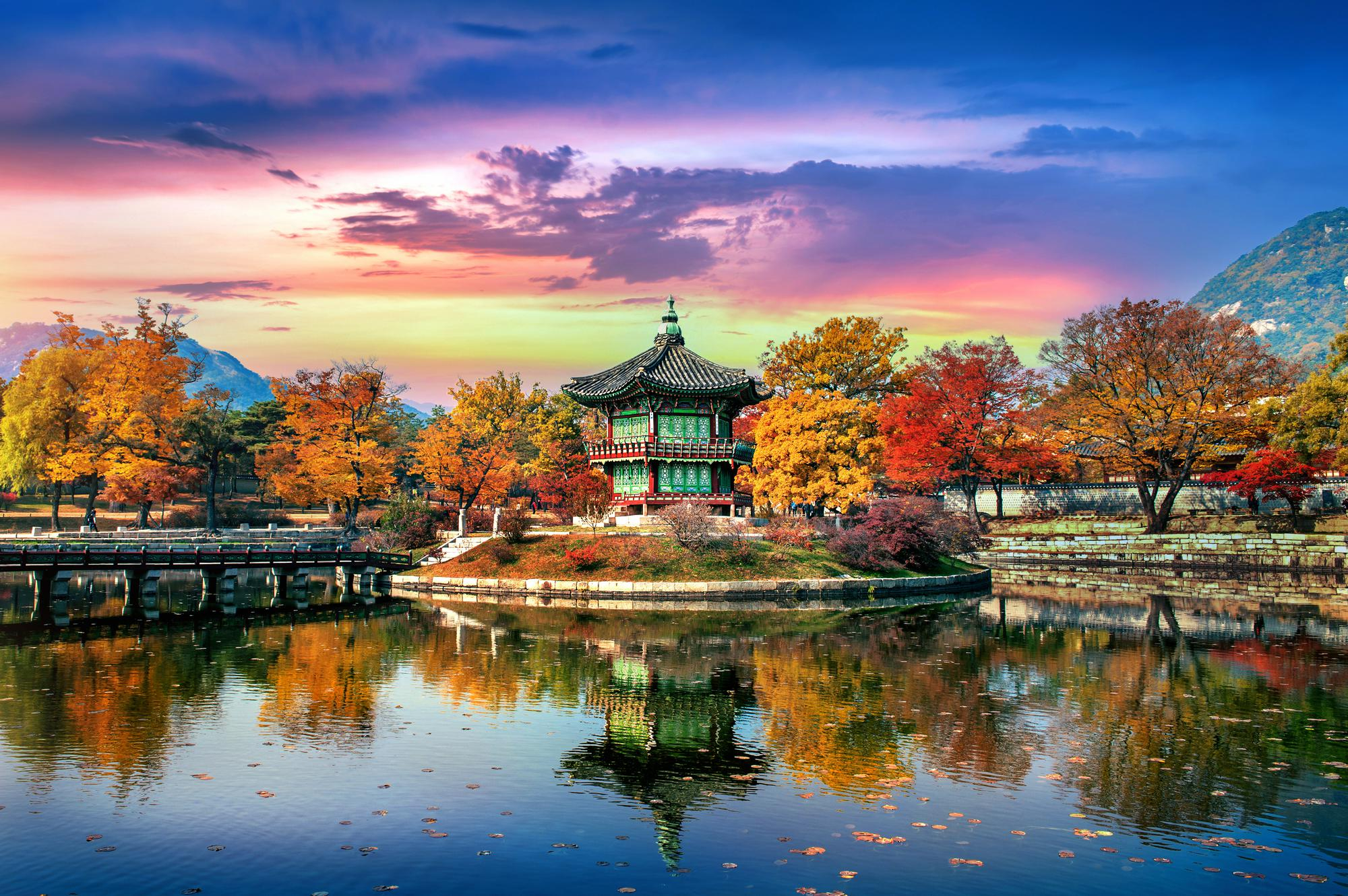 Best Things to Do in Seoul in Autumn: Fall Foliage, Cafés, Hikes & More