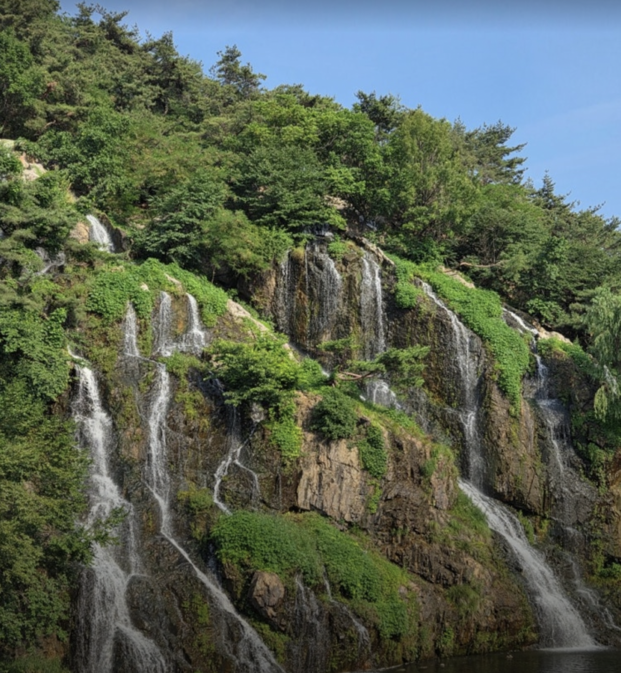 Cafe Pokpo Review: The Waterfall Café Near Hongdae I’d Actually Go Back To