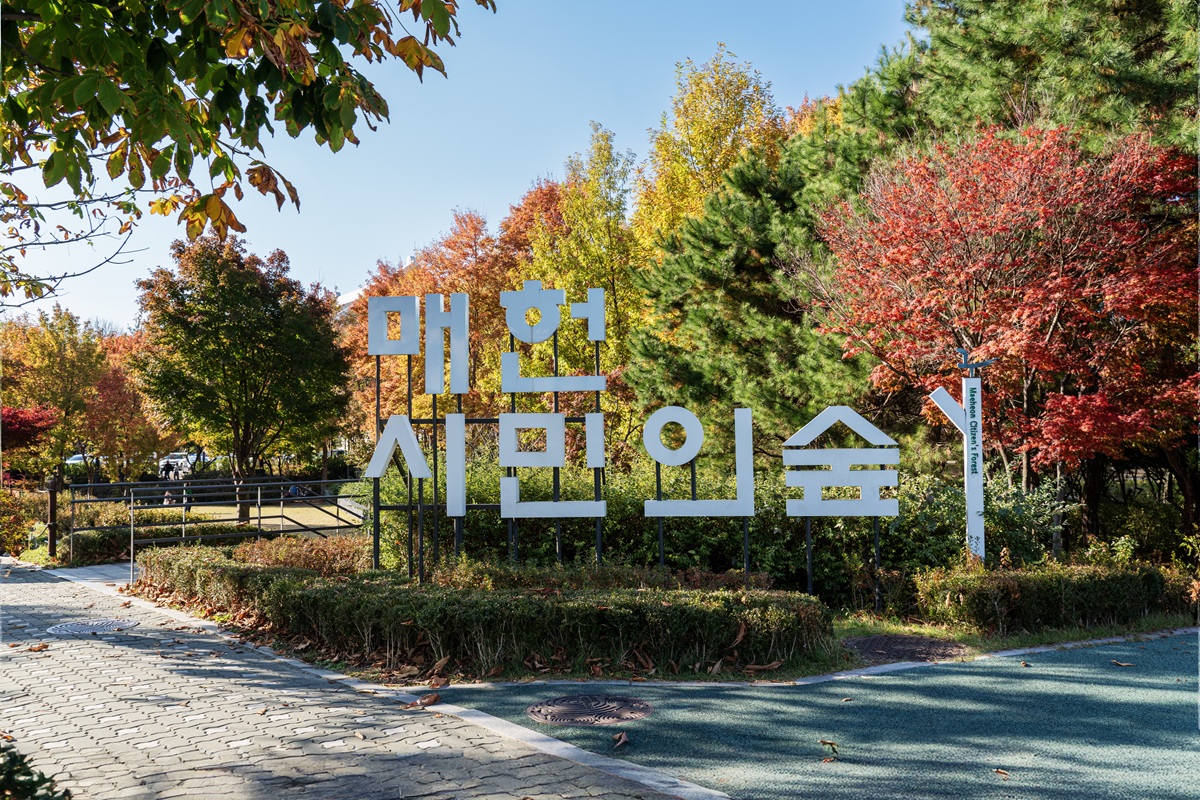 9. Maeheon Citizen's Forest