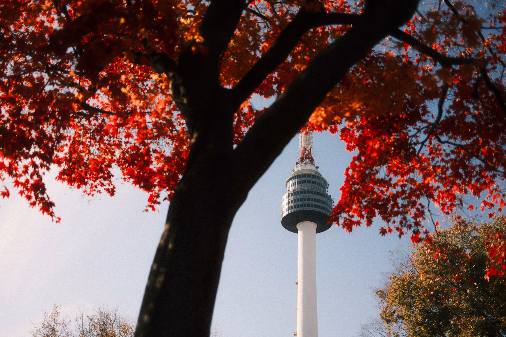 2. Namsan Park & Namsan North Ringway